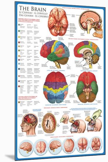 The Brain-null-Mounted Premium Giclee Print