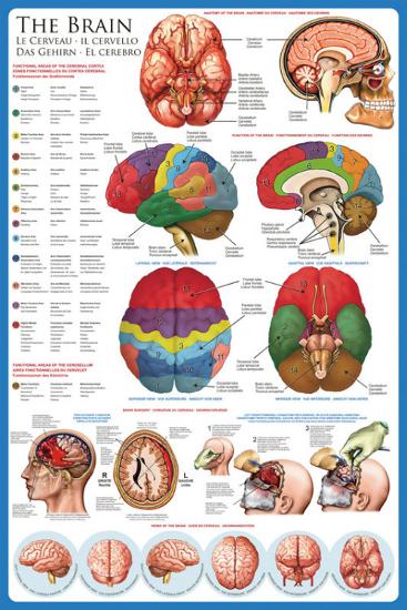 Poster, , large