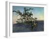 The Branch-Aleksandr Andreevich Ivanov-Framed Giclee Print