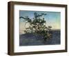 The Branch-Aleksandr Andreevich Ivanov-Framed Giclee Print