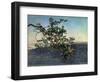 The Branch-Aleksandr Andreevich Ivanov-Framed Giclee Print