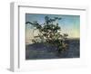 The Branch-Aleksandr Andreevich Ivanov-Framed Giclee Print