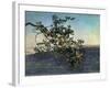 The Branch-Aleksandr Andreevich Ivanov-Framed Giclee Print