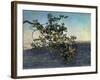 The Branch-Aleksandr Andreevich Ivanov-Framed Giclee Print