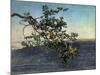 The Branch-Aleksandr Andreevich Ivanov-Mounted Giclee Print