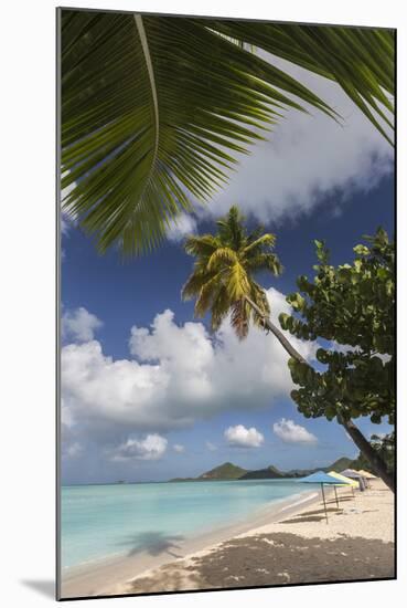 The Branches of the Palm Trees Create Shade on the Beach of Valley Church-Roberto Moiola-Mounted Photographic Print