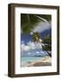 The Branches of the Palm Trees Create Shade on the Beach of Valley Church-Roberto Moiola-Framed Photographic Print