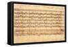 The Brandenburg Concertos, No.5 D-Dur, 1721-Johann Sebastian Bach-Framed Stretched Canvas