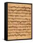 The Brandenburger Concertos, No.5 D-Dur, 1721-Johann Sebastian Bach-Framed Stretched Canvas