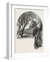 The Brandenburger Thor, Berlin, Germany, 19th Century-null-Framed Giclee Print