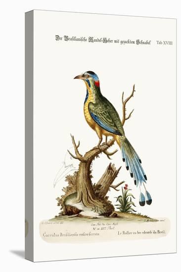 The Brasilian Saw-Billed Roller, 1749-73-George Edwards-Stretched Canvas