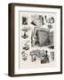 The Brazilian Silk Worm Exhibit-null-Framed Giclee Print