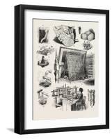 The Brazilian Silk Worm Exhibit-null-Framed Giclee Print