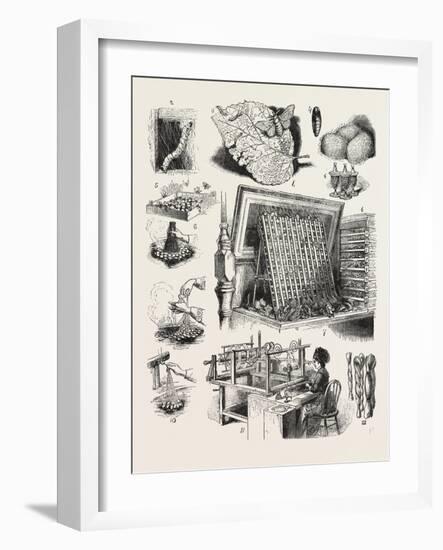 The Brazilian Silk Worm Exhibit-null-Framed Giclee Print