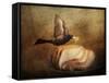 The Bread Thief-Jai Johnson-Framed Stretched Canvas