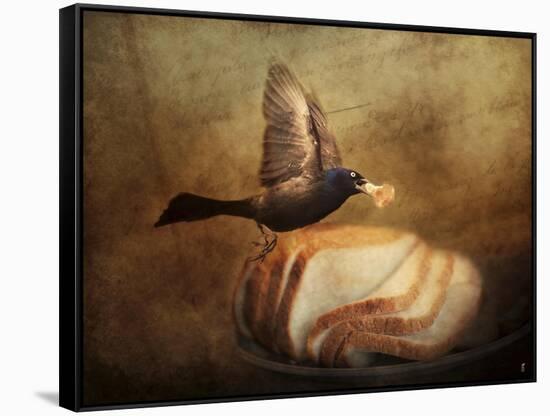 The Bread Thief-Jai Johnson-Framed Stretched Canvas