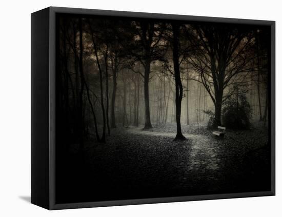 The Break-Philippe Manguin-Framed Stretched Canvas