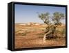 The Breakaways, Painted Desert, Coober Peedy, South Australia, Australia, Pacific-Tony Waltham-Framed Stretched Canvas