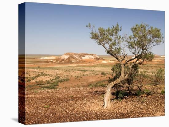 The Breakaways, Painted Desert, Coober Peedy, South Australia, Australia, Pacific-Tony Waltham-Stretched Canvas