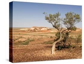 The Breakaways, Painted Desert, Coober Peedy, South Australia, Australia, Pacific-Tony Waltham-Stretched Canvas