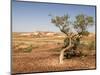 The Breakaways, Painted Desert, Coober Peedy, South Australia, Australia, Pacific-Tony Waltham-Mounted Photographic Print