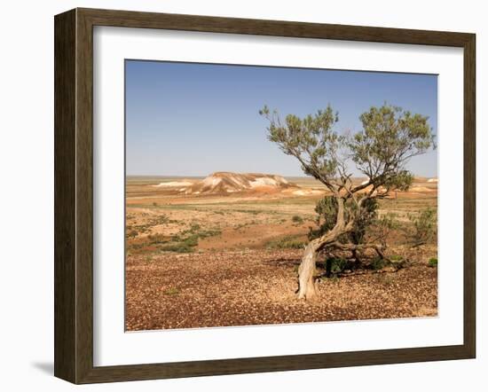 The Breakaways, Painted Desert, Coober Peedy, South Australia, Australia, Pacific-Tony Waltham-Framed Photographic Print