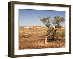 The Breakaways, Painted Desert, Coober Peedy, South Australia, Australia, Pacific-Tony Waltham-Framed Photographic Print