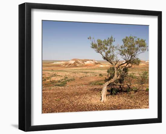 The Breakaways, Painted Desert, Coober Peedy, South Australia, Australia, Pacific-Tony Waltham-Framed Photographic Print