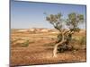 The Breakaways, Painted Desert, Coober Peedy, South Australia, Australia, Pacific-Tony Waltham-Mounted Photographic Print