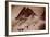 The Breche De La Meije, Massif Des Ecrins, 1890-null-Framed Photographic Print