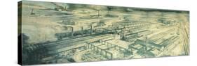 The Breda Plant-null-Stretched Canvas