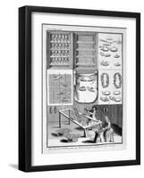 The Breeding of Silk Worms, 1775-null-Framed Giclee Print