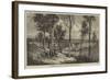 The Bremer Railway Bridge Near Ipswich, Queensland-null-Framed Giclee Print