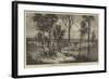 The Bremer Railway Bridge Near Ipswich, Queensland-null-Framed Giclee Print