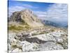 The Brenta Dolomites. Italy, Trentino, Val Rendena-Martin Zwick-Stretched Canvas