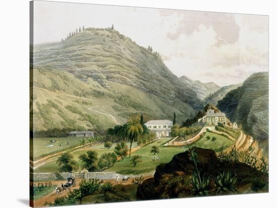 The Briars, St Helena, Early 19th Century-FR Stack-Stretched Canvas