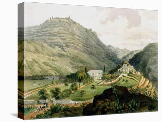 The Briars, St Helena, Early 19th Century-FR Stack-Stretched Canvas