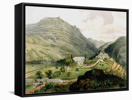 The Briars, St Helena, Early 19th Century-FR Stack-Framed Stretched Canvas