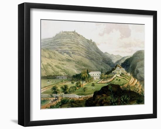 The Briars, St Helena, Early 19th Century-FR Stack-Framed Giclee Print