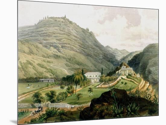 The Briars, St Helena, Early 19th Century-FR Stack-Mounted Giclee Print