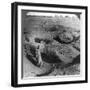 The Brick Store Chambers of Pithom, Built by Hebrew Bondsmen, Egypt, 1905-Underwood & Underwood-Framed Photographic Print