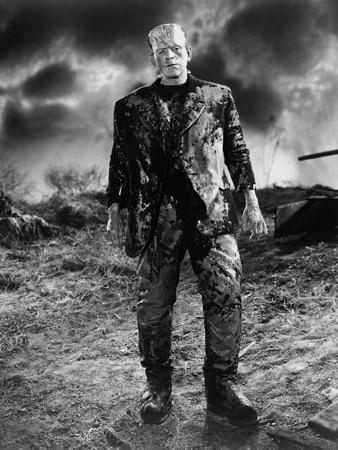 Frankenstein Boris Karloff Photo Print 13x19/"