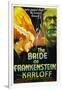 The Bride of Frankenstein, Elsa Lanchester, Boris Karloff, 1935-null-Framed Art Print