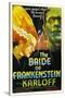 The Bride of Frankenstein, Elsa Lanchester, Boris Karloff, 1935-null-Stretched Canvas