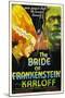 The Bride of Frankenstein, Elsa Lanchester, Boris Karloff, 1935-null-Mounted Art Print