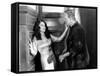 The Bride of Frankenstein-null-Framed Stretched Canvas