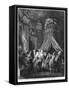 The Bride's Going-To-Bed Ceremony, Engraved from Jean-Michel Moreau, Said the Young-Pierre Antoine Baudouin-Framed Stretched Canvas