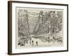 The Bride's Procession in St James's Street-null-Framed Giclee Print