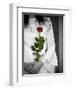 The Bride-Nathan Wright-Framed Photographic Print