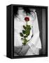 The Bride-Nathan Wright-Framed Stretched Canvas